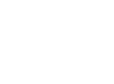 Vector 3